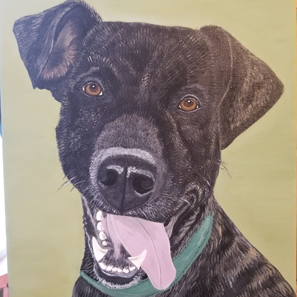 Custom pet portrait